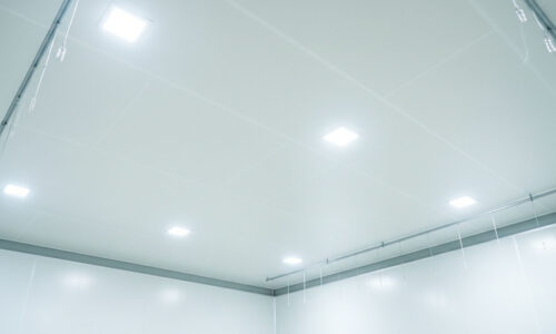 Cold Room Ceiling Panel 1 Cold Room Ceiling Panel 1