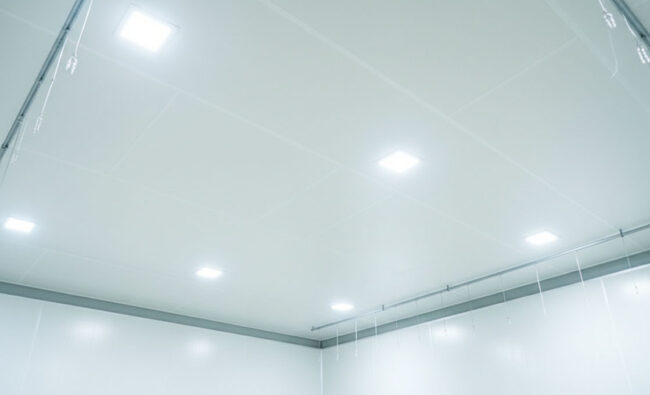Cold Room Ceiling Panel 1