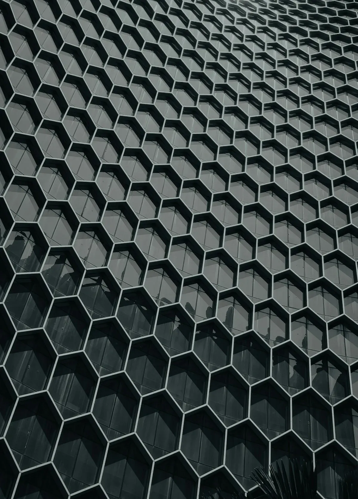 Hexagonal aluminum foil honeycomb core displaying uniform cell geometry (Source: Stock Materials Testing)