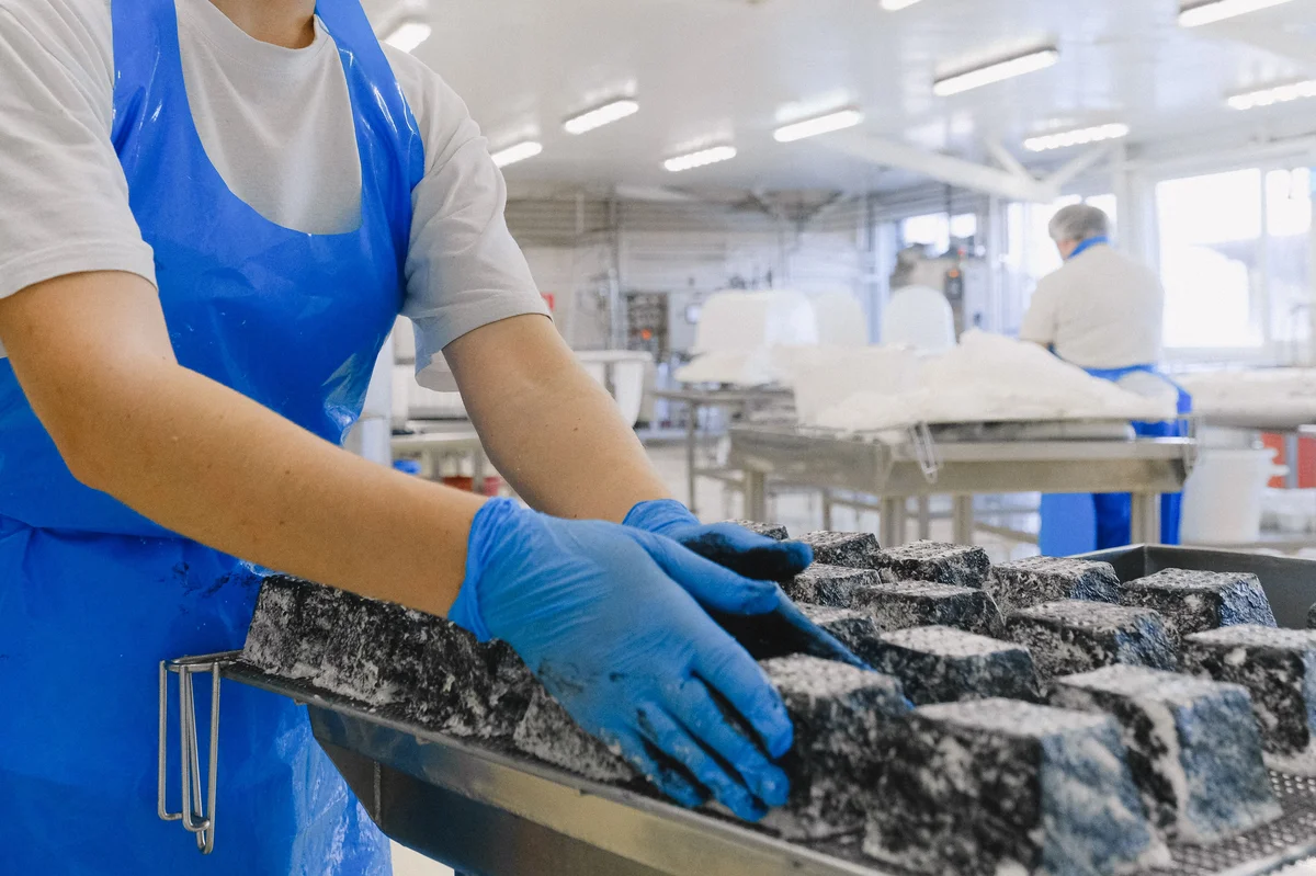 Cold Room Panels Dairy & Beverage Manufacturing