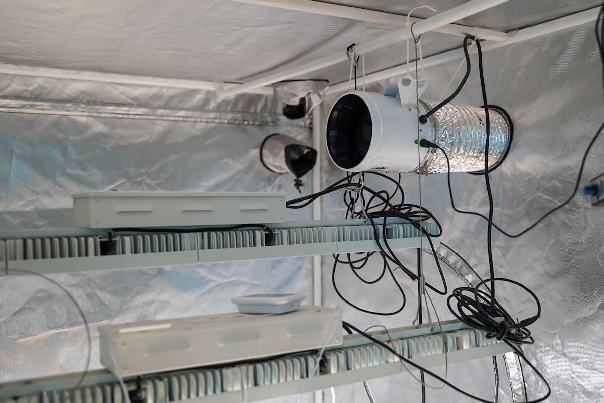 Cold Storage Your Ongoing Costs: Energy, Maintenance, and Labor
