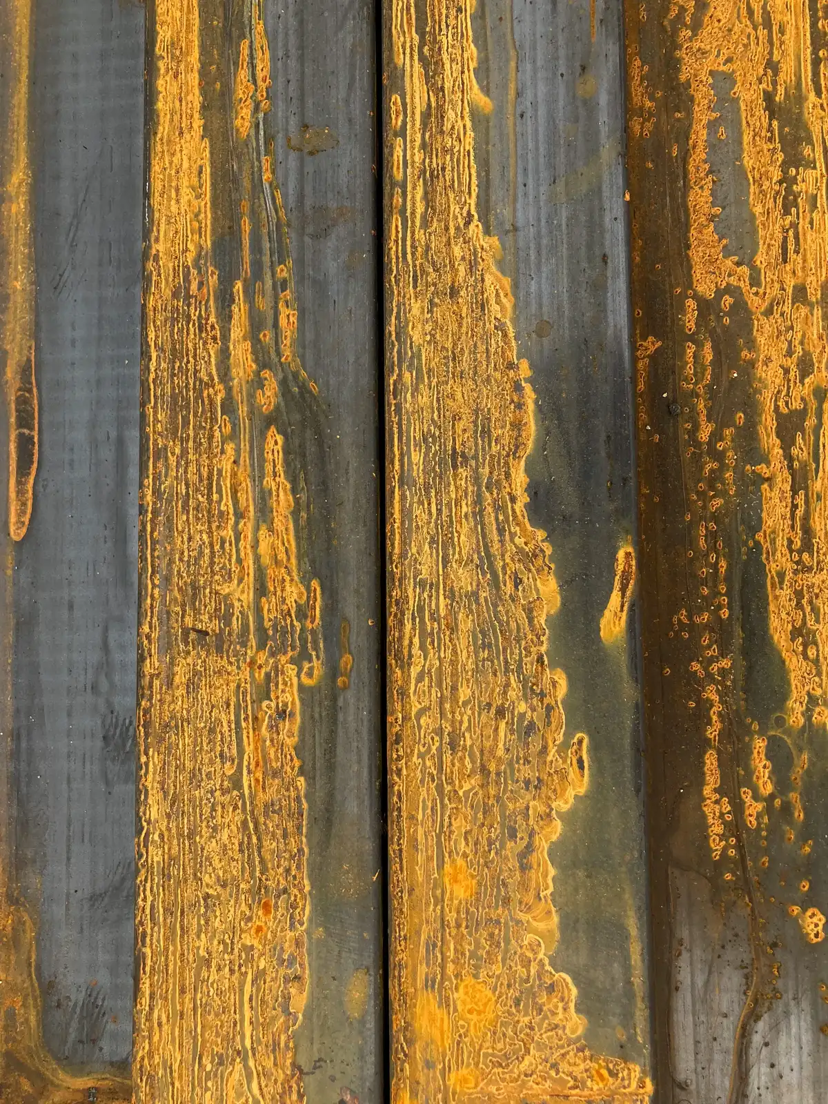 Container House Materials 1: Comparing R-Values Across Insulation Types