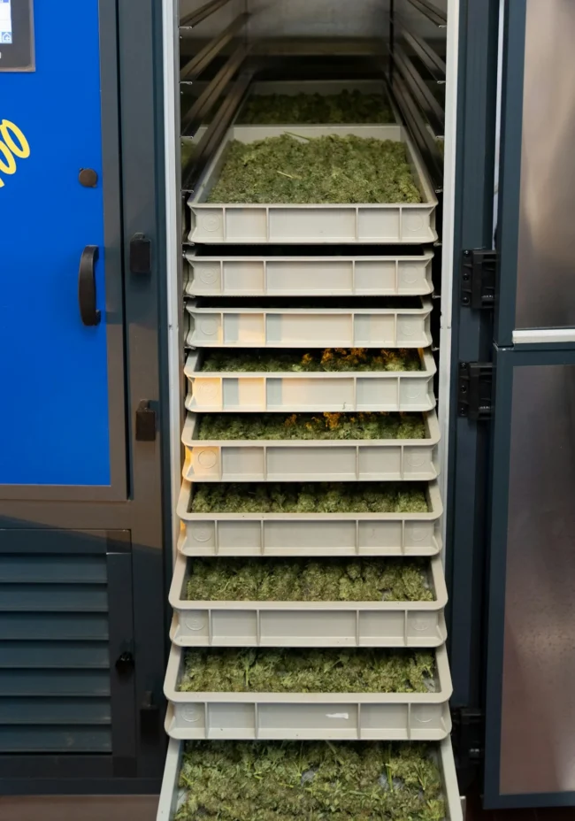 Flower Refrigeration Panels Understanding Flower Refrigeration Panels