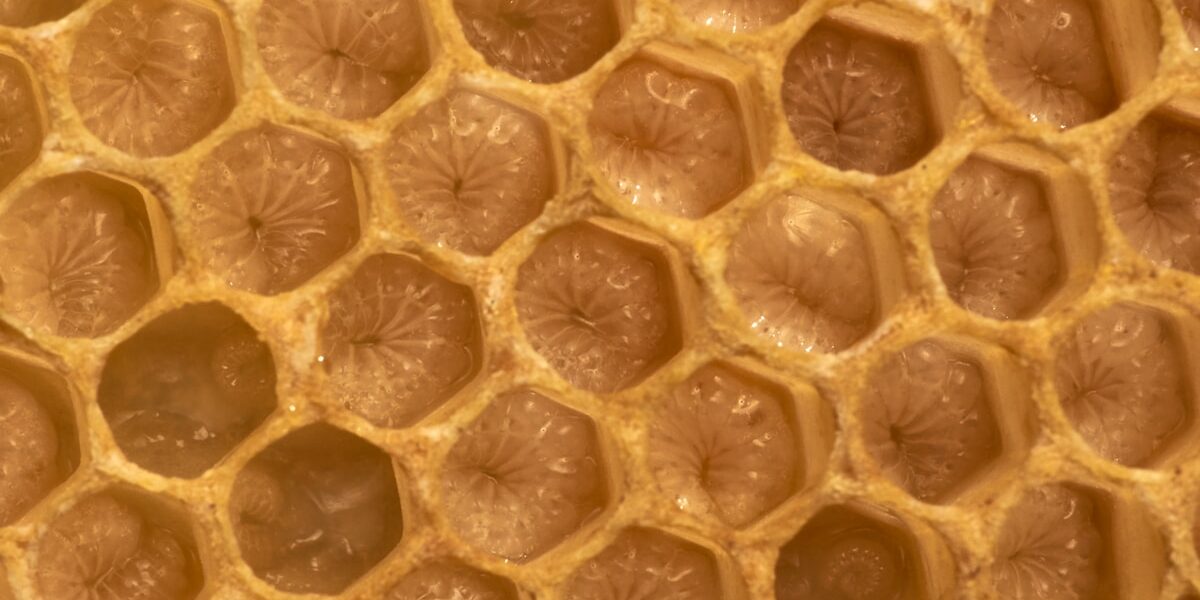 Honeycomb Panels Honeycomb Panels Explained Benefits Applica Overview Honeycomb Panels Honeycomb Panels Explained: Benefits & Applications