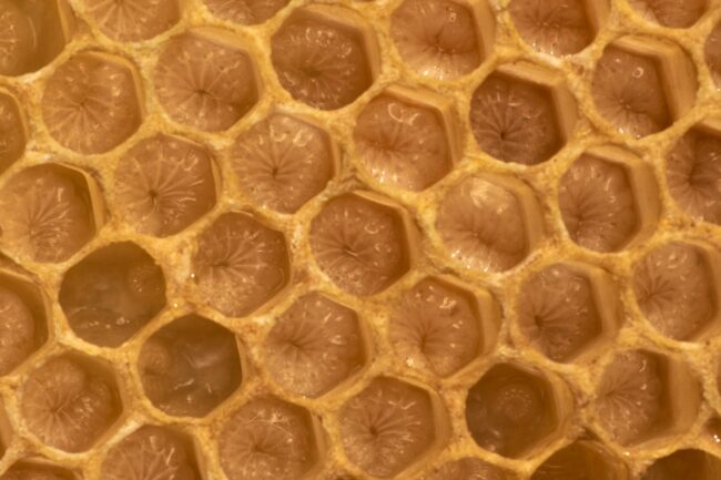 Honeycomb Panels Honeycomb Panels Explained Benefits Applica Overview Honeycomb Panels Honeycomb Panels Explained: Benefits & Applications