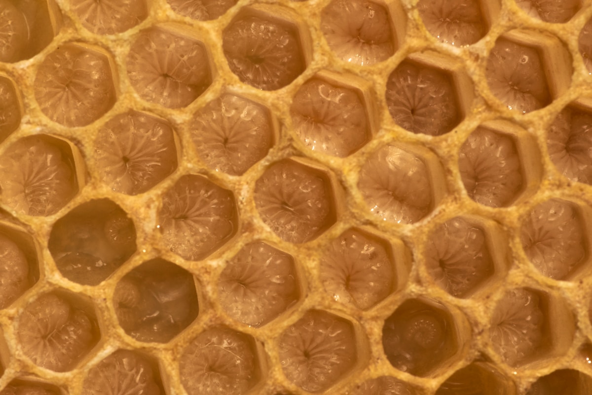 Expanded aluminum honeycomb core structure showcasing uniform hexagonal cell geometry (Source: RaxPanel Technical Library)