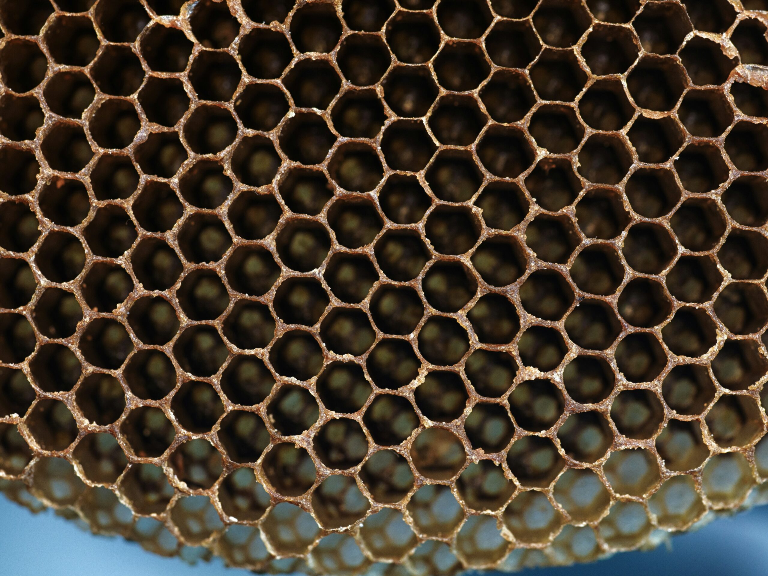 Hyper-realistic photograph of a high-density honeycomb core block undergoing a compression test in a laboratory. The core, characterized by its small, tightly packed cells, is placed within a hydraulic press machine. The focus is on the immense pressure being applied to the robust core material, which shows no signs of deformation. Scientific, clinical lighting, detailed shot of the material under stress, no text, no brand logo.