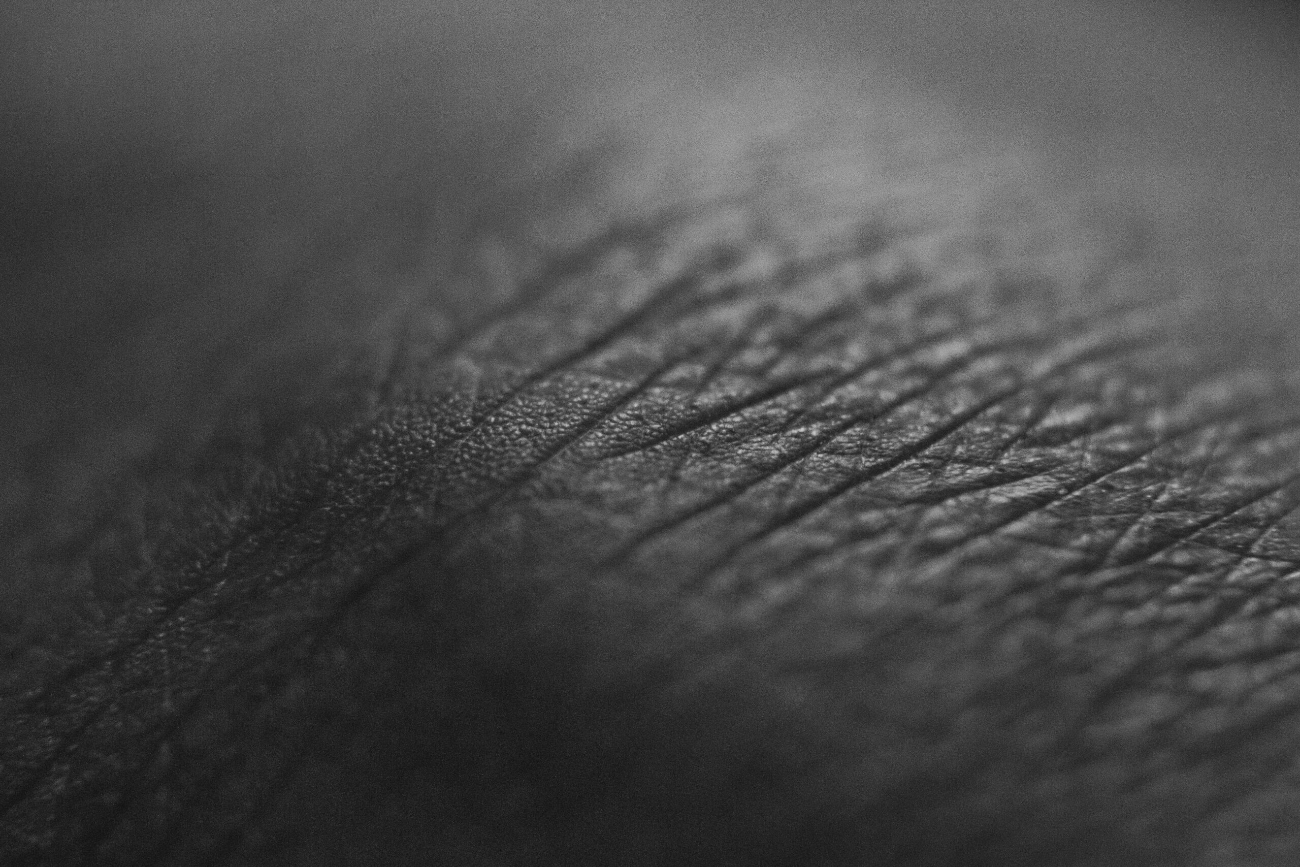 Core-skin bond integrity test showing where delamination would start