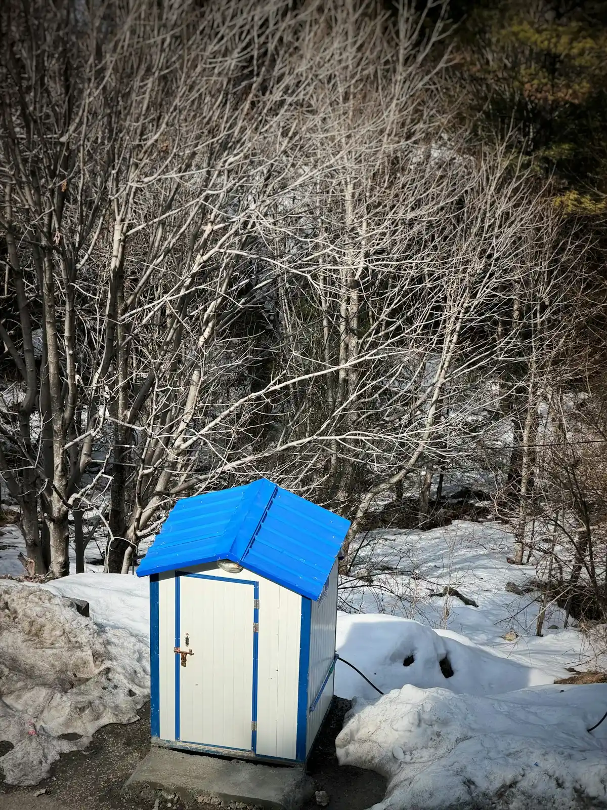 Portable Toilets Which Portable Toilet Fits Your Outdoor Setup