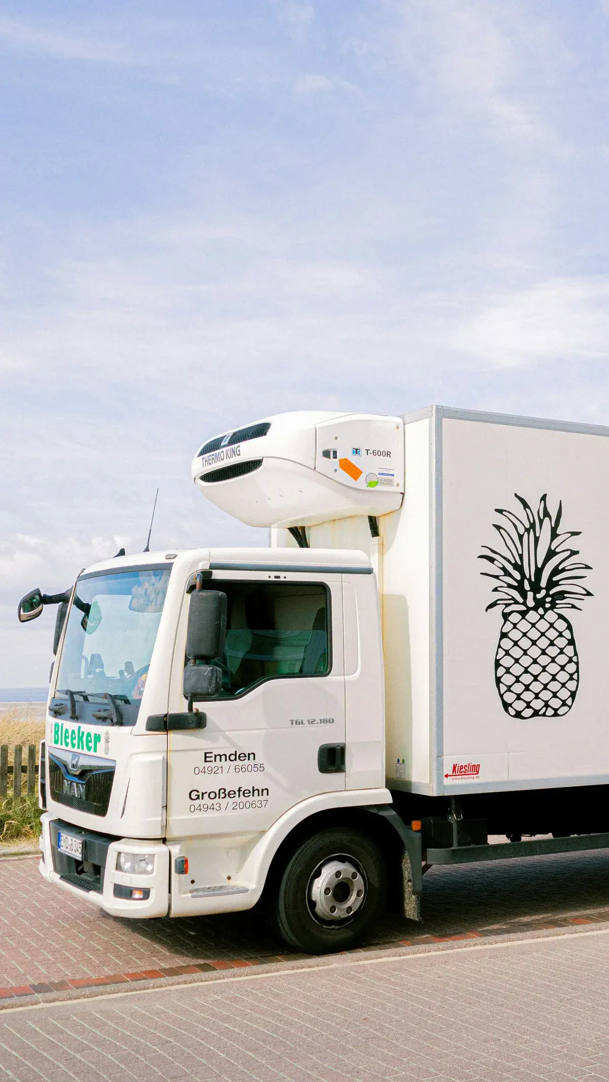 refrigerated truck body panels Balancing Insulation Thickness with Payload Capacity