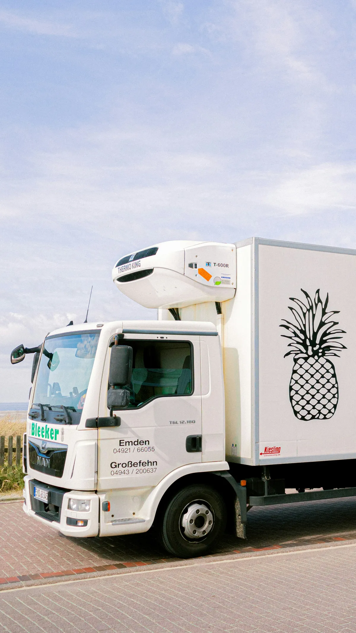 refrigerated truck body panels Balancing Insulation Thickness with Payload Capacity