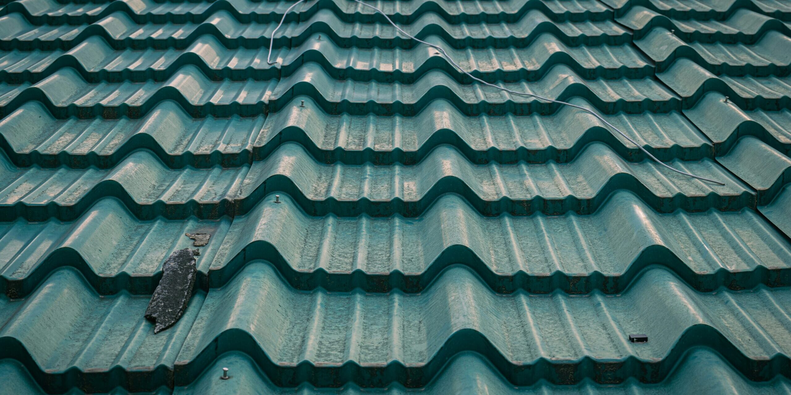 the roof of a building with a bird on it the roof of a building with a bird on it