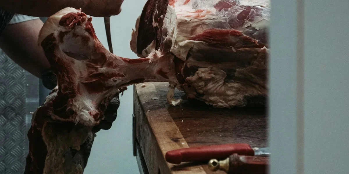 Walk-in Freezer Meat Processing Walk-in Freezer: Buyer's Guide