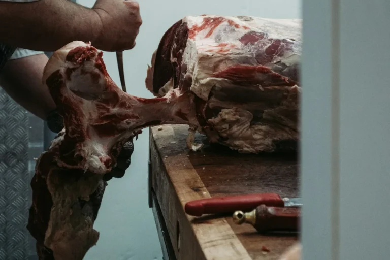 Walkin Freezer Meat Processing Walkin Freezer Buyers Guide Overview Walk-in Freezer Meat Processing Walk-in Freezer: Buyer's Guide